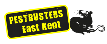 Pest Busters East Kent